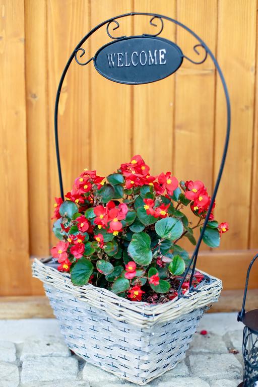 Landhaus Bed&Breakfast วีเชวเดสซุส ภายนอก รูปภาพ